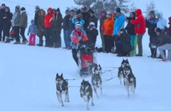 course de traineaux U8gVYe