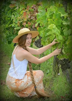 shoot vignes QJjob4 shoot vignes QJjob4